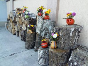 майтсер-клас квіти5