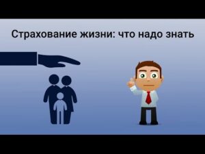 страхование 6